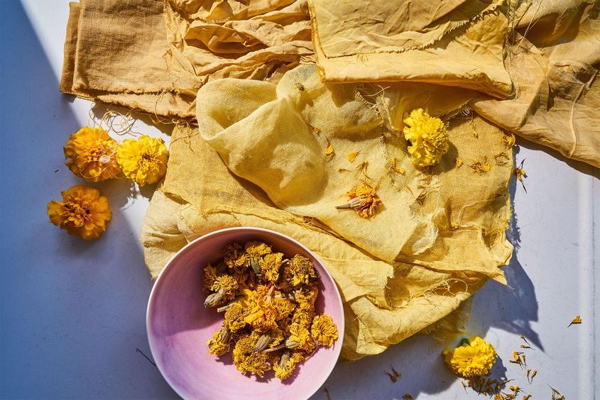 Natural dyeing, natural plant materials, plant dyed, botanical dyes, plant-based dyes, dyeing process, sustainable dyeing, eco-friendly dyes