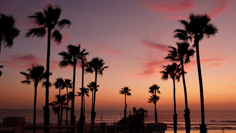 Essential vacation items, Summer getaway essentials, Beachwear essentials, Vacation wardrobe essentials, Stylish accessories for travel, Must-have items for a summer trip